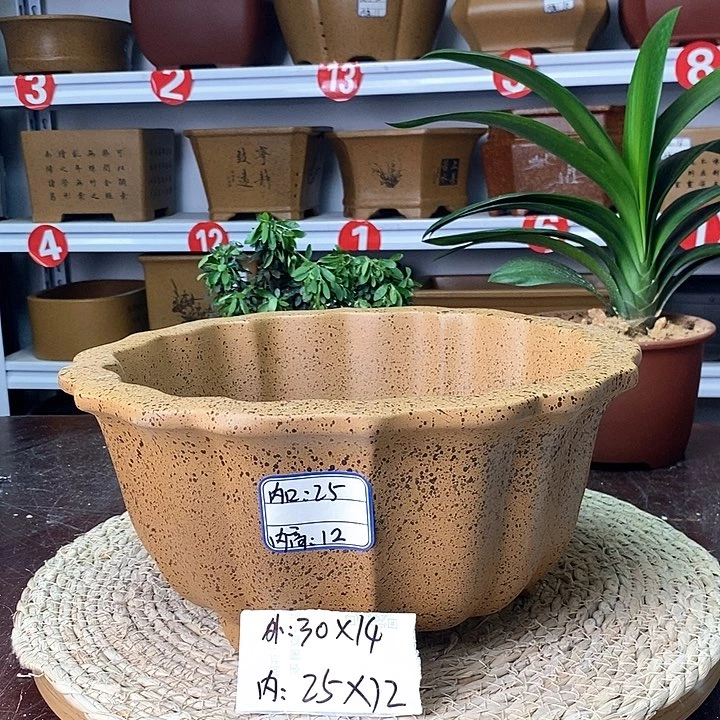 紫砂花盆今天下午