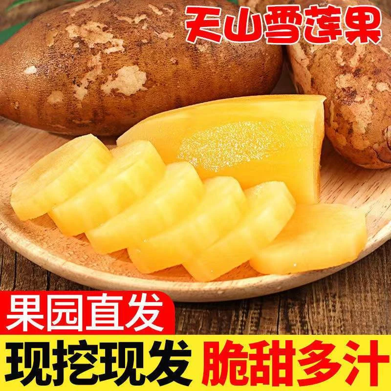 农家优选新鲜现挖现发应季云南天山雪莲清甜多汁5斤9斤坏果包赔