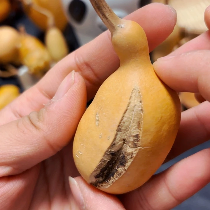 阑*?8888888888888888888