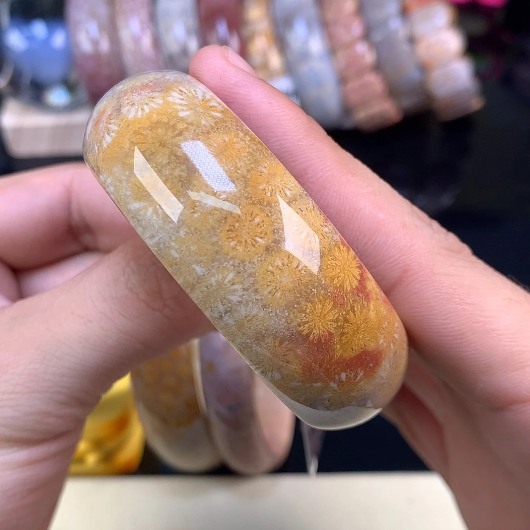 【闪购商品】颈饰未镶嵌硅化珊瑚（珊瑚玉）70号金赞比51.9圈
