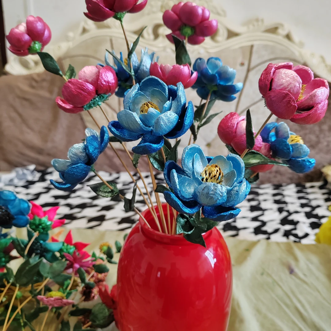 果壳干花/不需要打理/不需要养