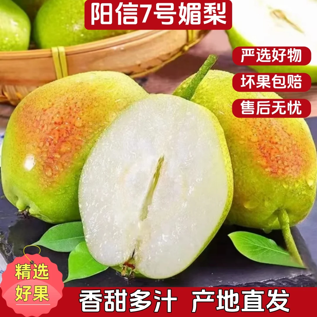 【阳信7号媚梨】正宗阳信媚梨7号香梨脆甜多汁新鲜当季产地直发
