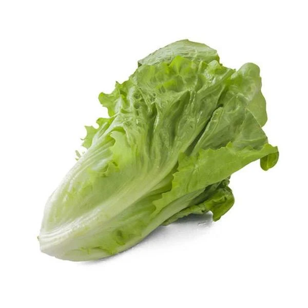 生菜（约330-350克）