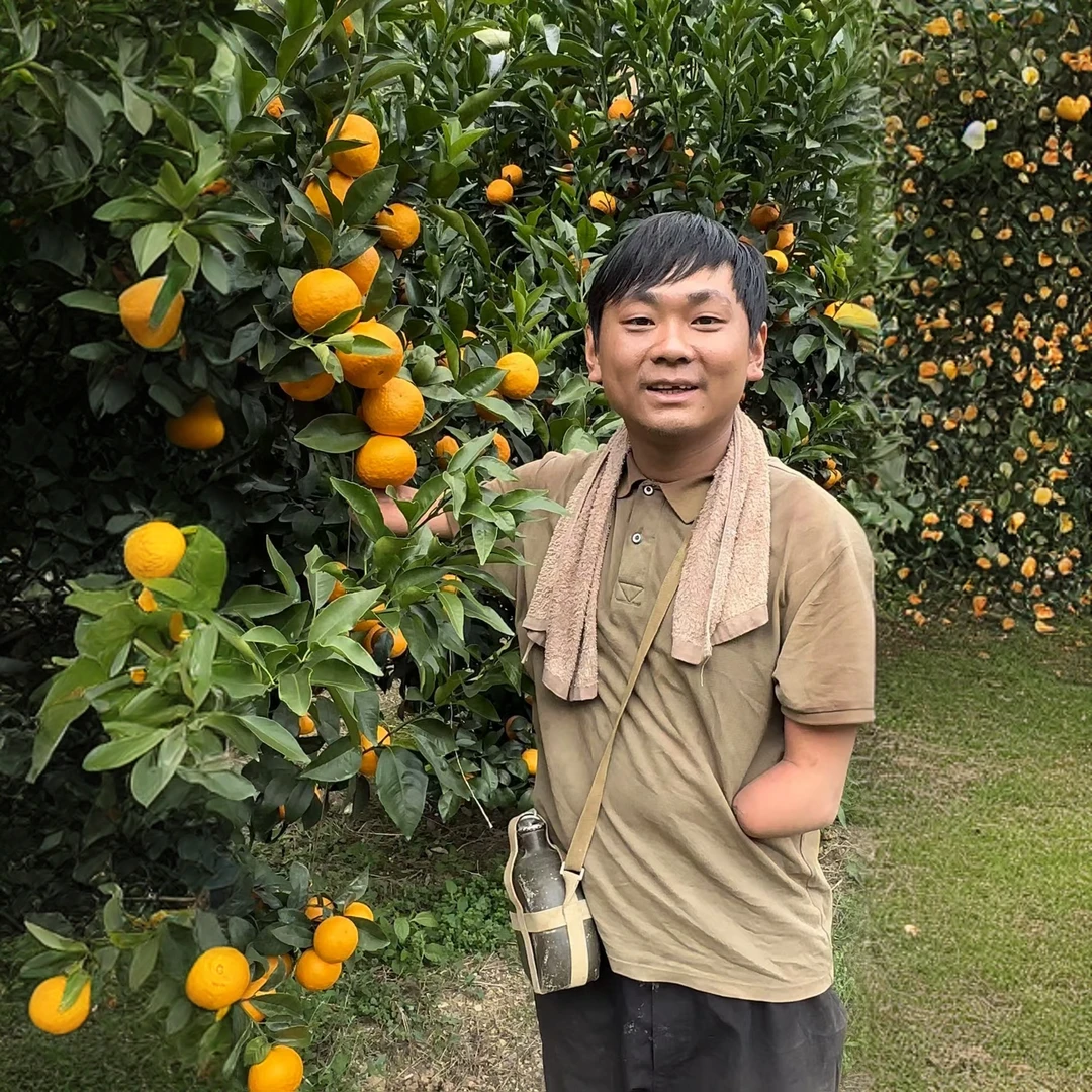 【小哥家的沃柑】广西武鸣沃柑香甜橘子当季新鲜水果多汁净重9斤