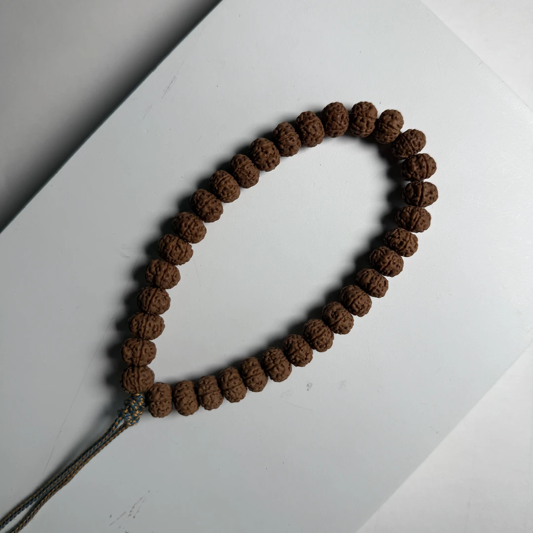 【明台】新品精选【战神老树王】小金刚【单圈】