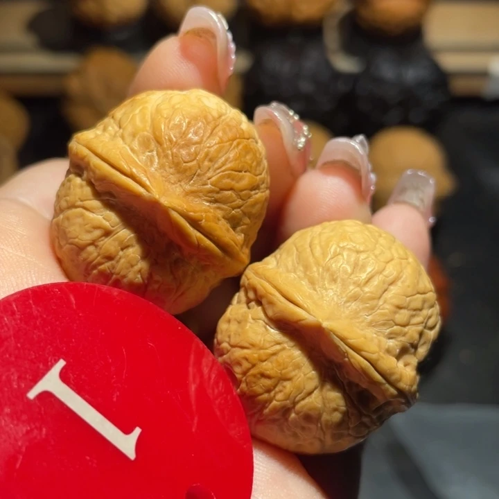 龙珠31尺寸核桃。