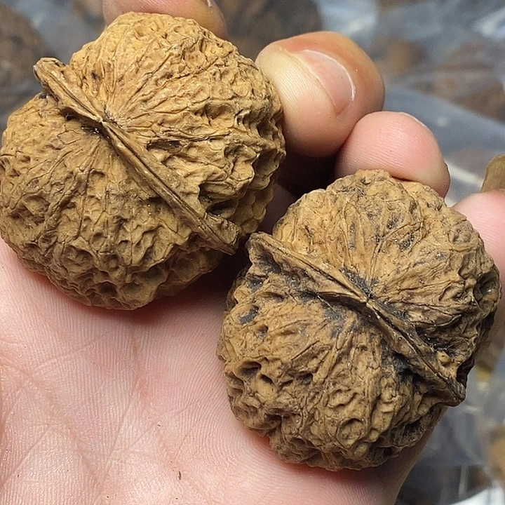 把件文玩核桃云南铁核桃90