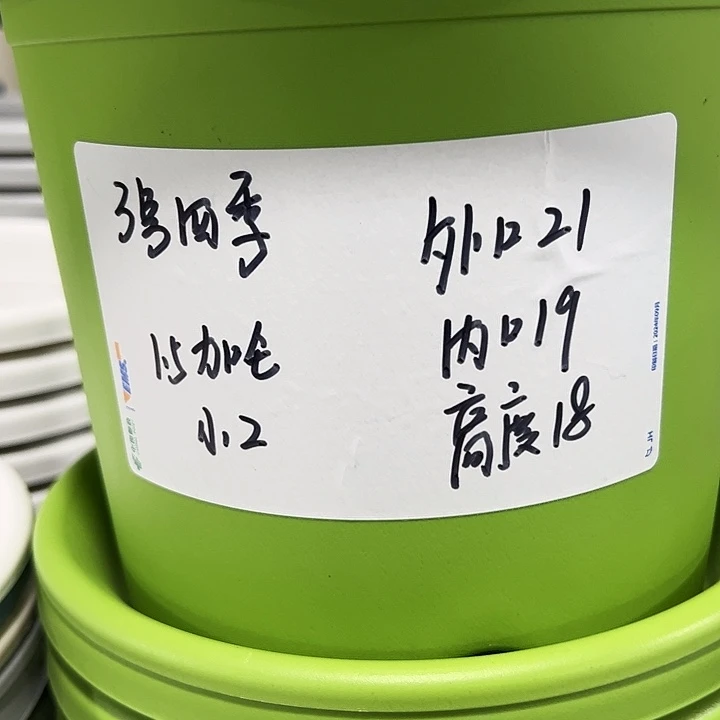 特价3号口21高18白色10只无托