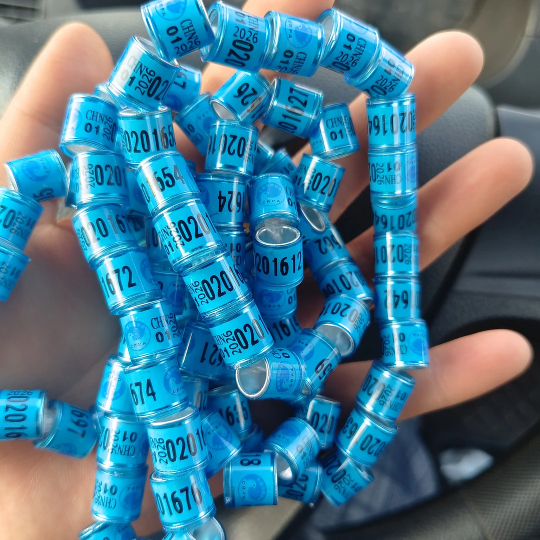 不带证足环26年鸽子足环区号随机不能打比赛脚环