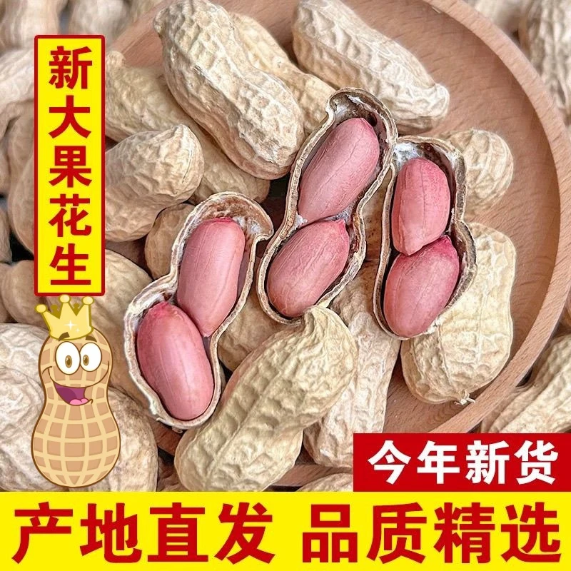 新货带壳生花生5斤晒干花生农家自种新鲜花生果薄壳花生种子净重