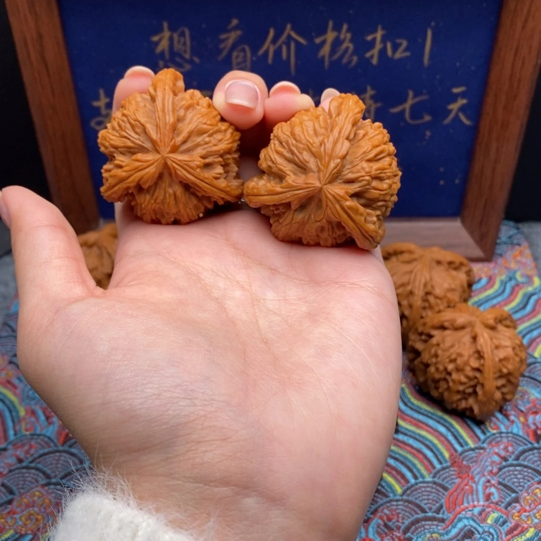 【闪购商品】夜**烦白狮