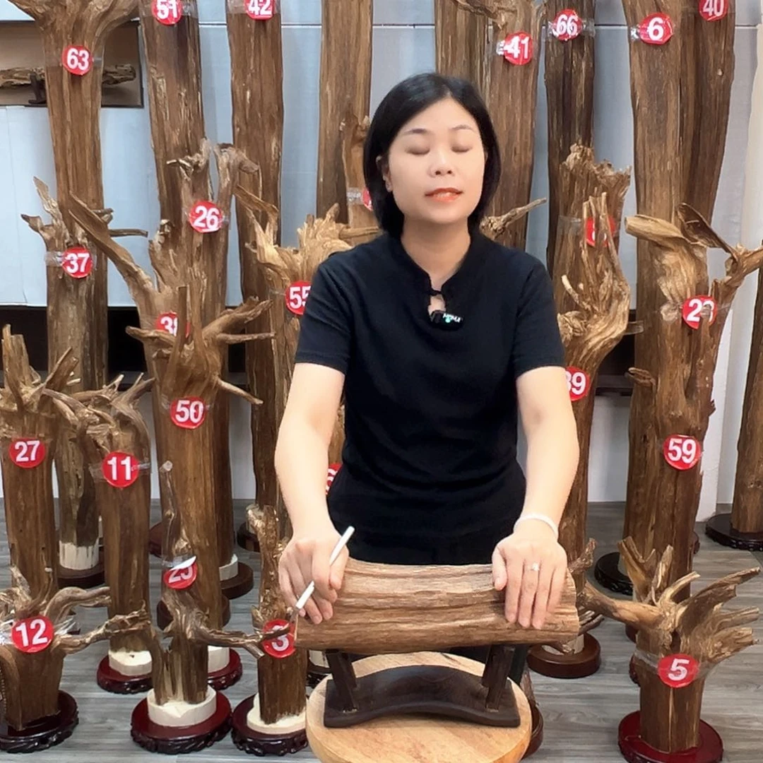 沉香碎屑沉香沉香碎屑