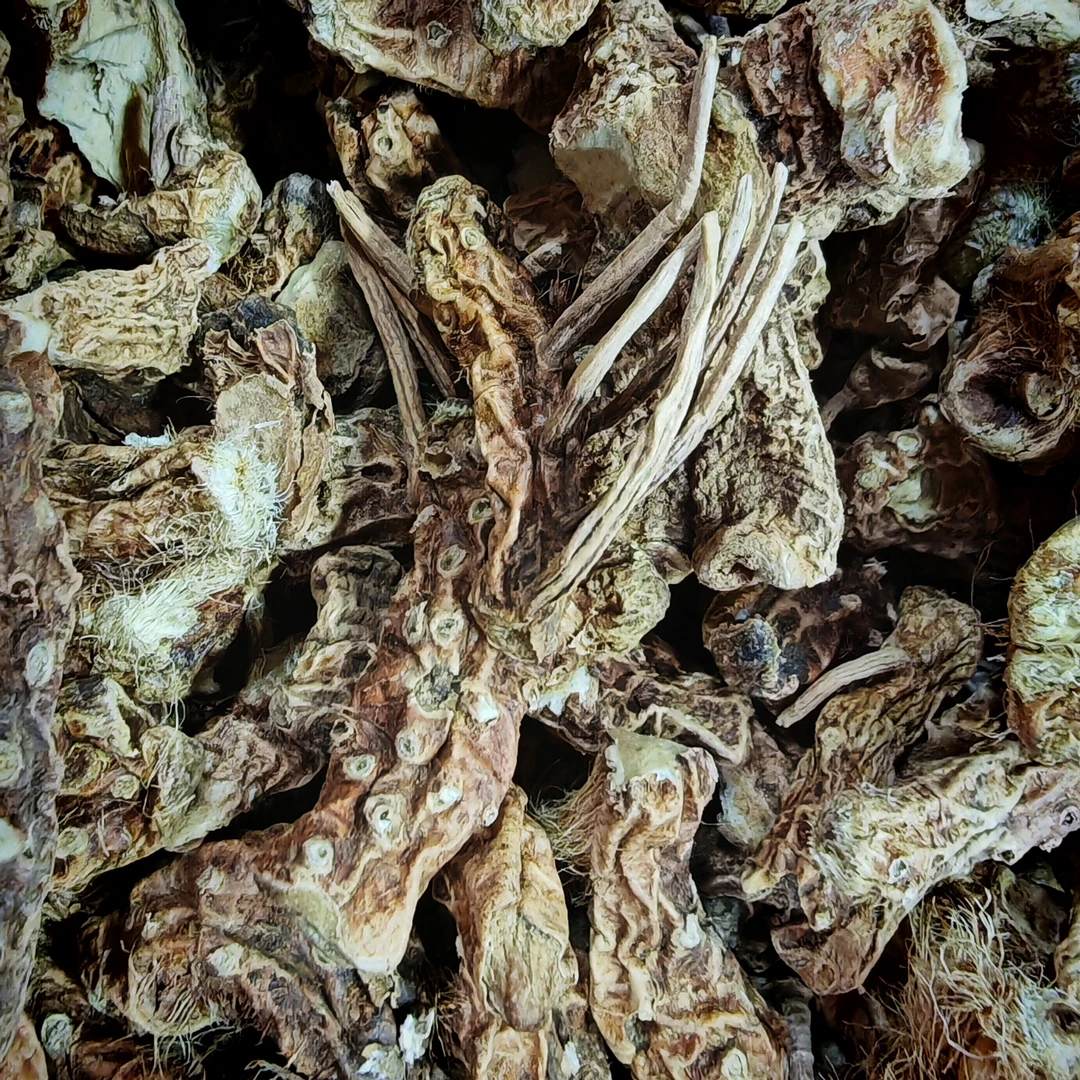 【周生专属】太白山 荒野 穿山龙 到手1斤