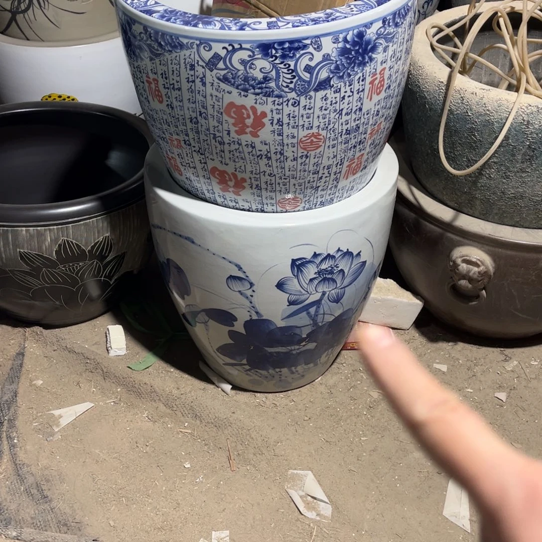 瓷片兰荷花53高度53.8888