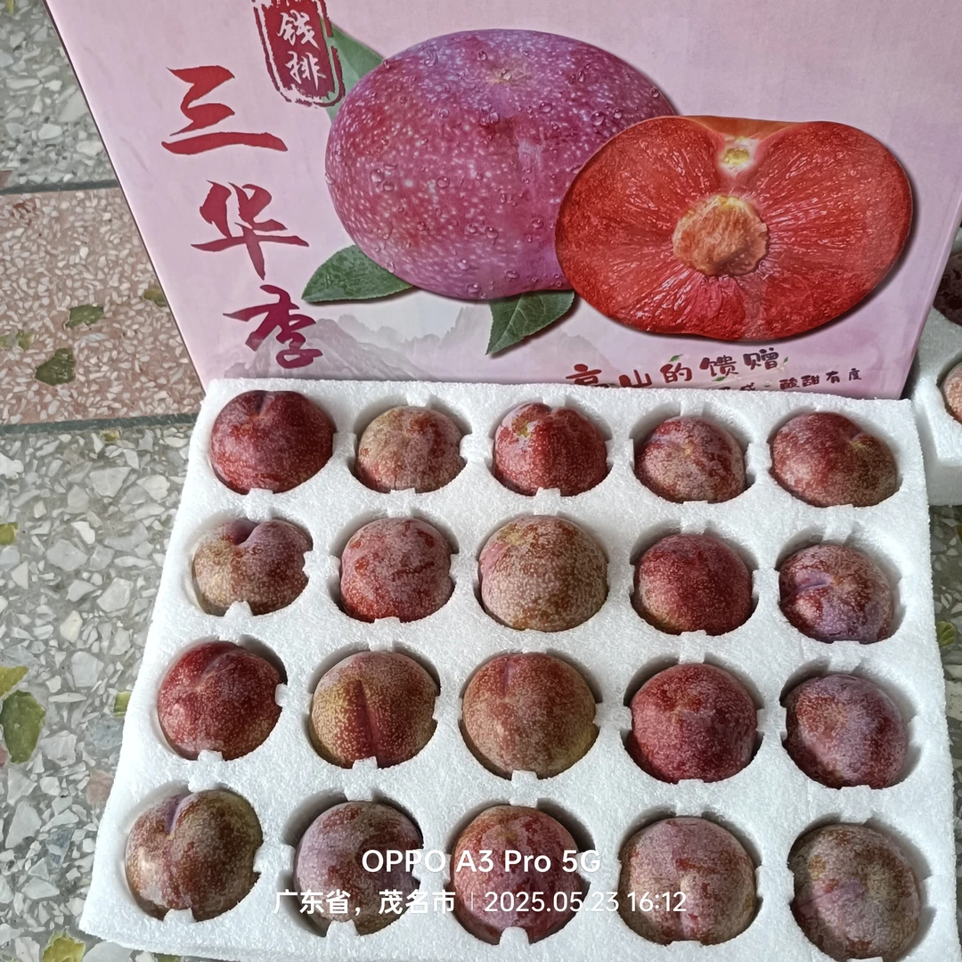 送礼佳选（特大果）广东信宜钱排三华李新鲜红心李子现摘当季水果