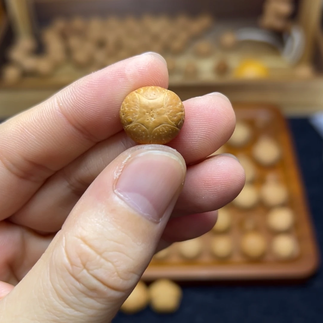 手串凤眼菩提15.2五星上将