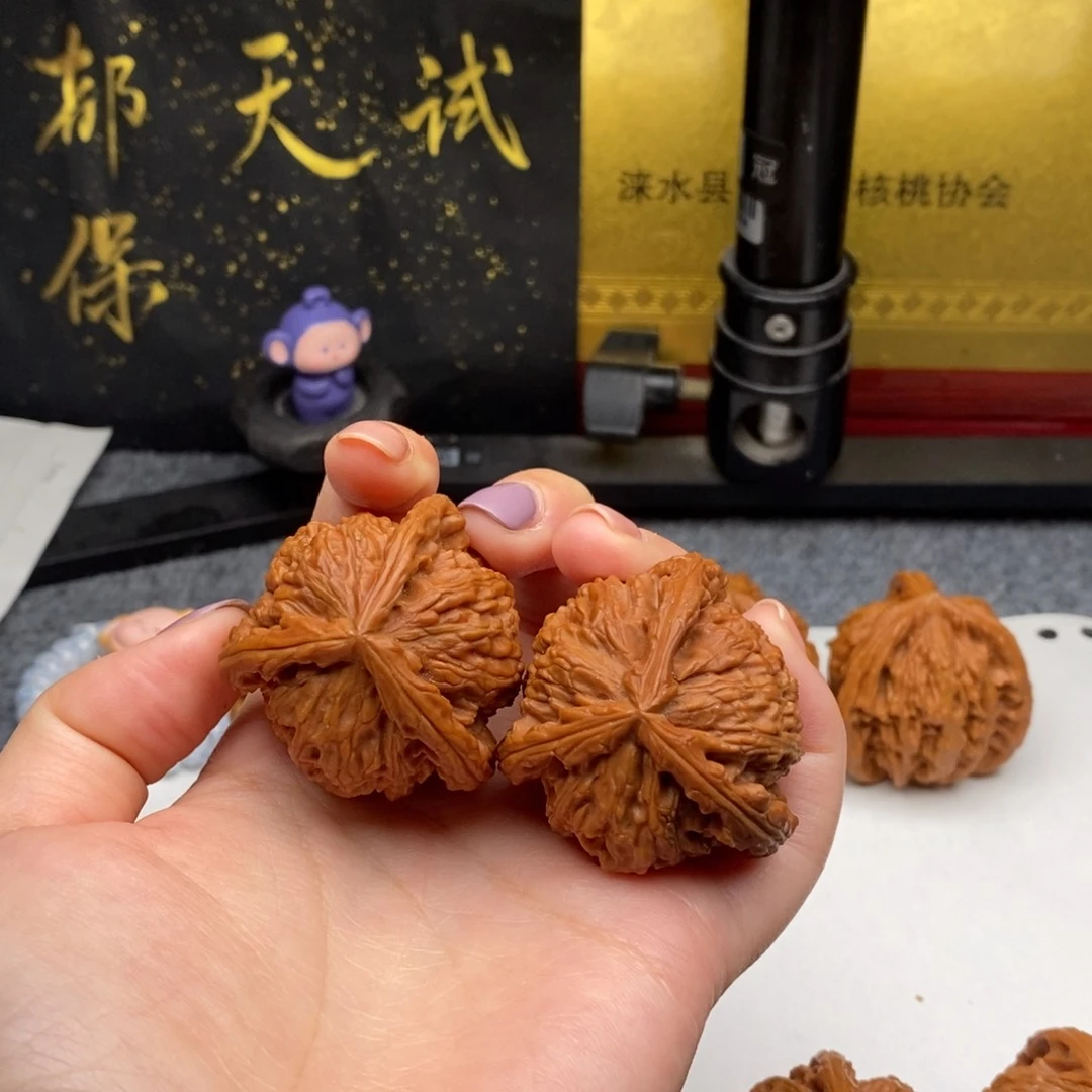 9️⃣****白狮子1111111111