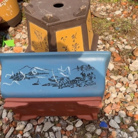 紫砂花盆紫砂花盆盆景盆栽