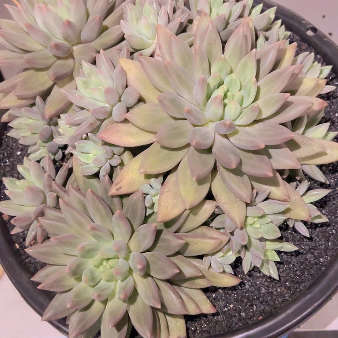 喜***海8888888888888888