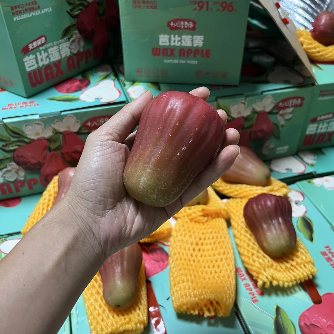 【颜色偏淡】海南黑糖芭比莲雾3斤装新鲜水果顺丰包邮