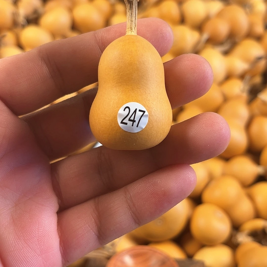 二葫芦葫芦葫芦葫芦247