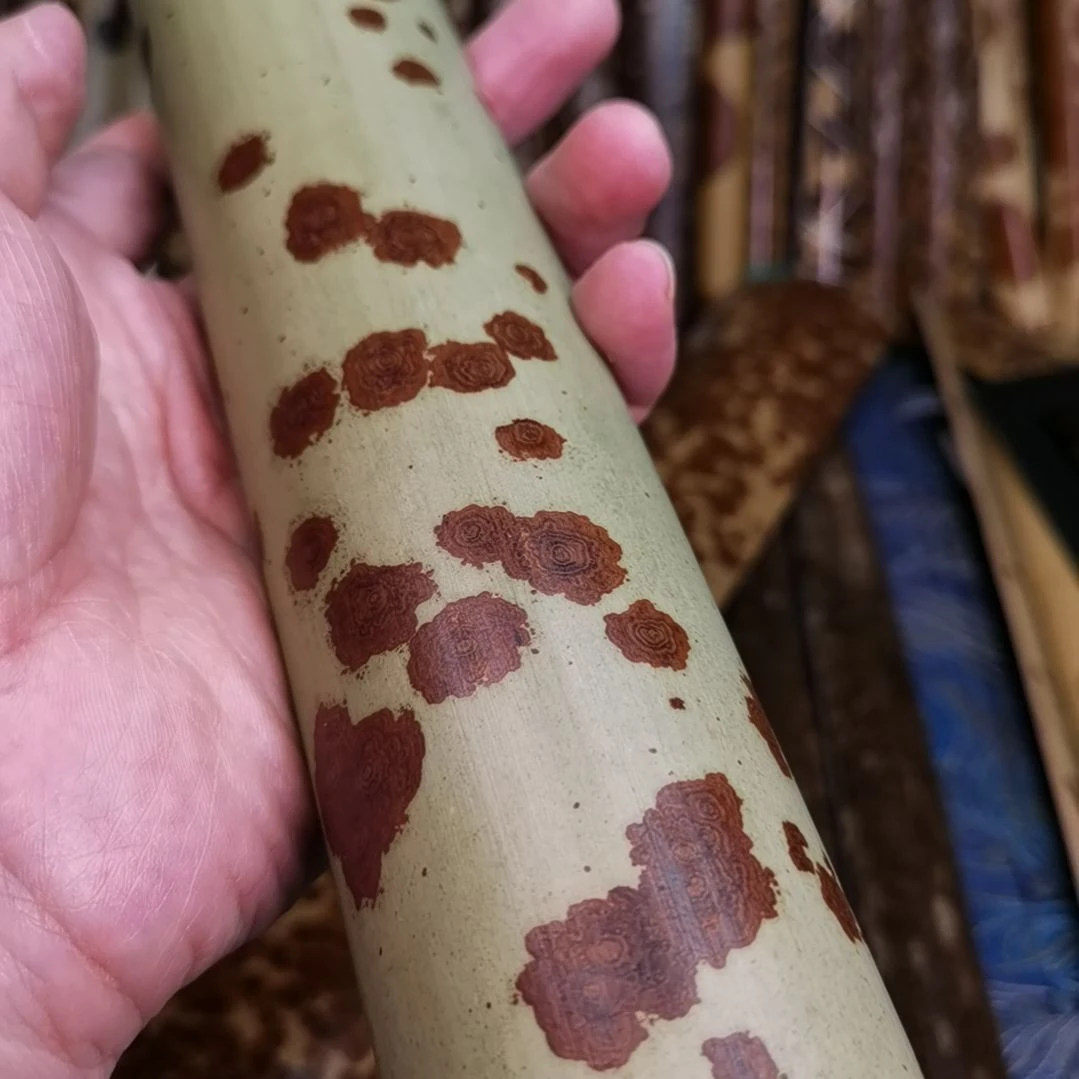 扇子老云妃精品扇料