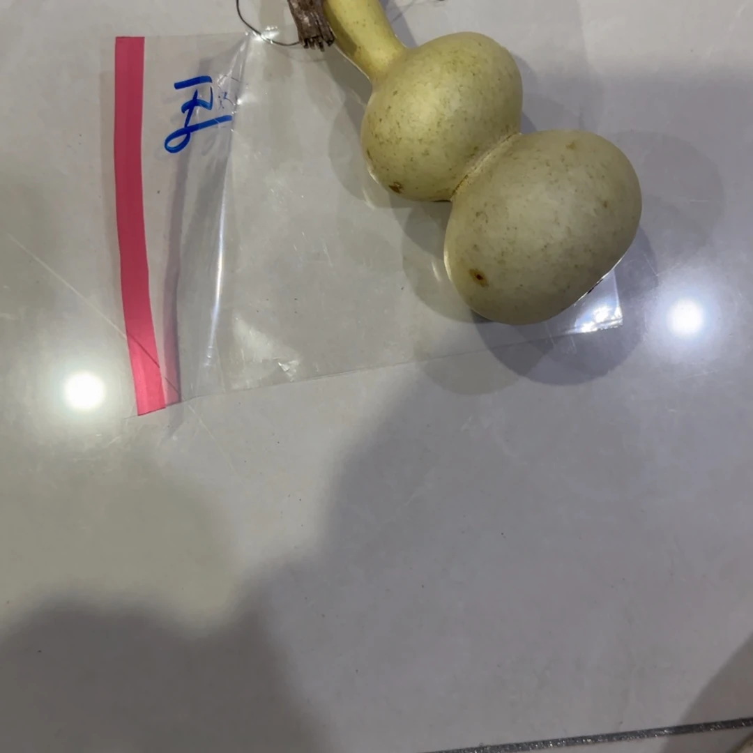 一***主青皮不包成青皮不包成