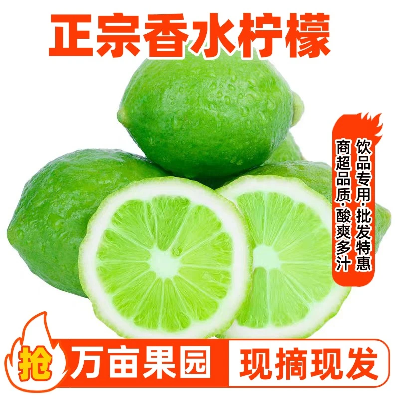 【现摘现发】正宗广东无籽香水柠檬新鲜现摘清香四溢可榨汁泡水水果