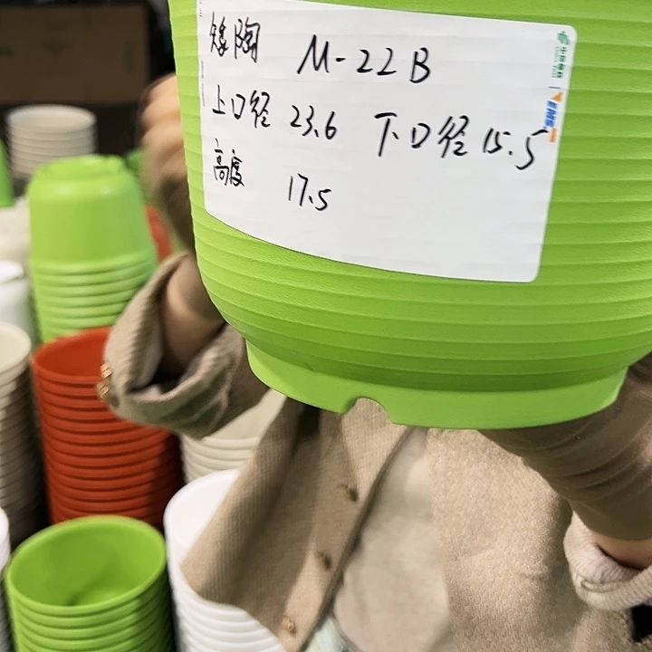 正品矮陶口24高17果绿无托6个