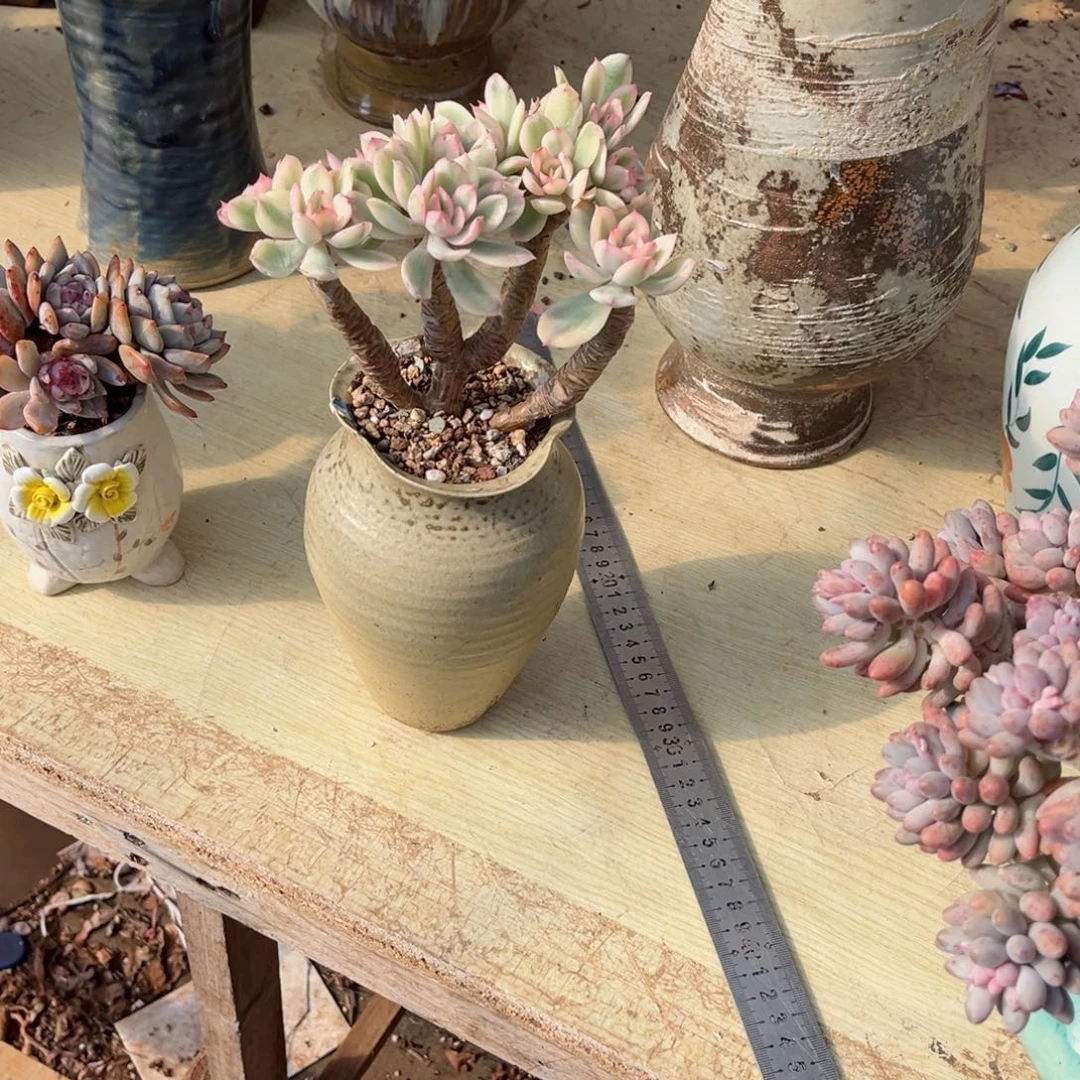 你是否还记得你曾经说的话