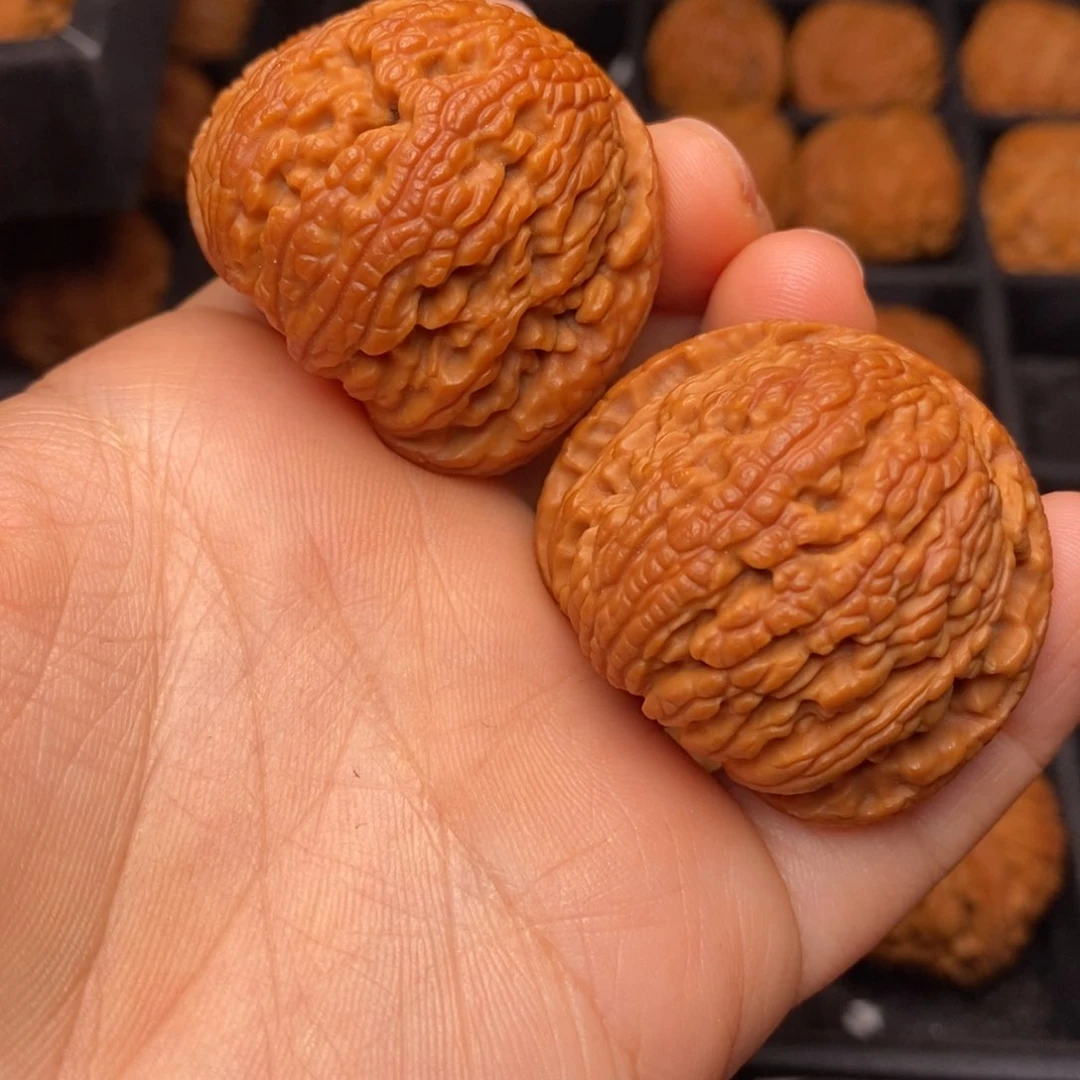 文玩核桃把件秦岭野生核桃