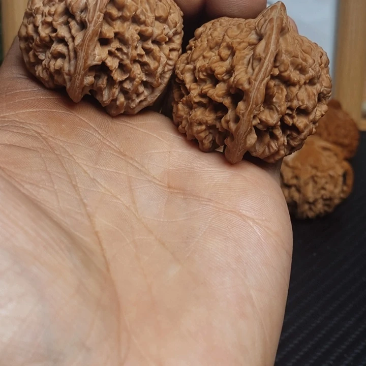 二***哥大叶紫檀（黑酸枝木类）满天星