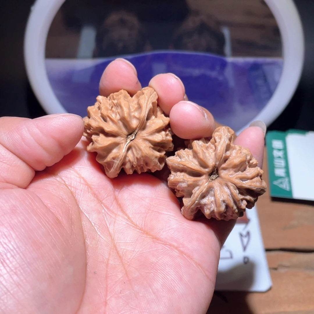 把件核桃S485。 36尺。大龙