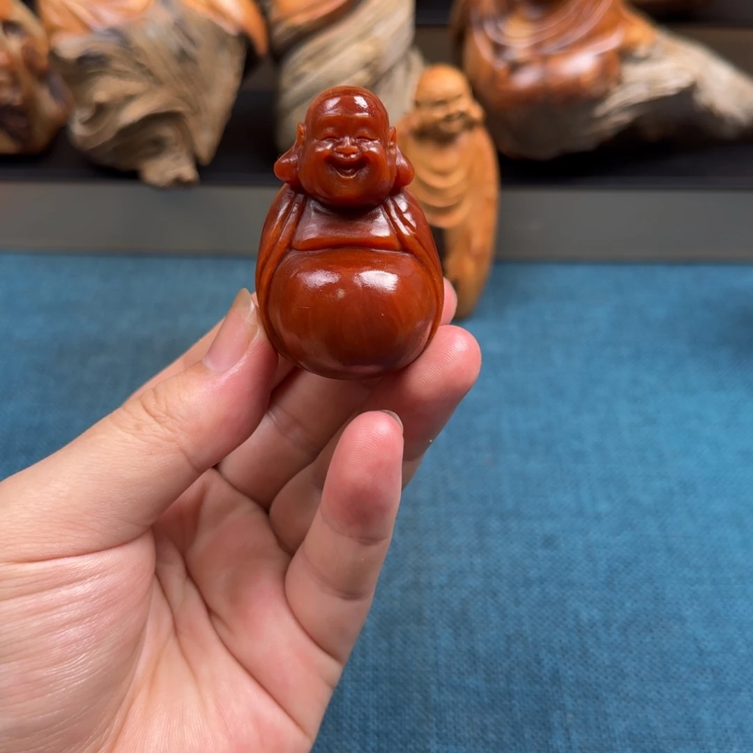 柏木（崖柏）太行崖柏