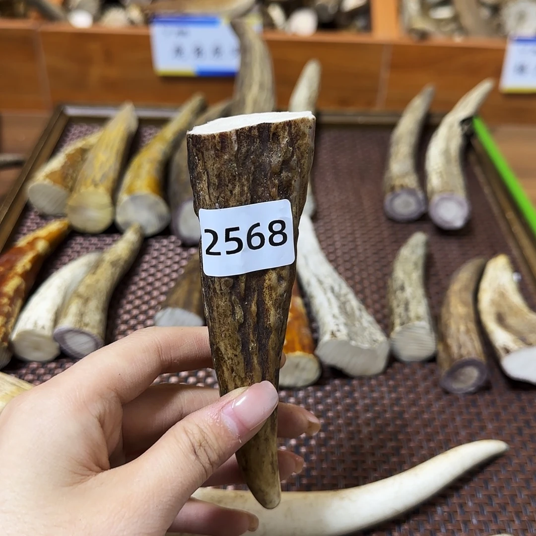 手串/手链鹿骨角尖2568