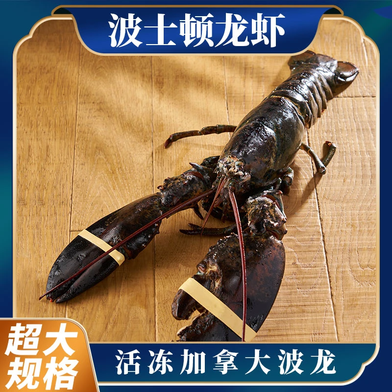 超大加拿大鲜冻波士顿龙虾大龙虾3-9斤过节送礼冷冻海鲜新鲜食材