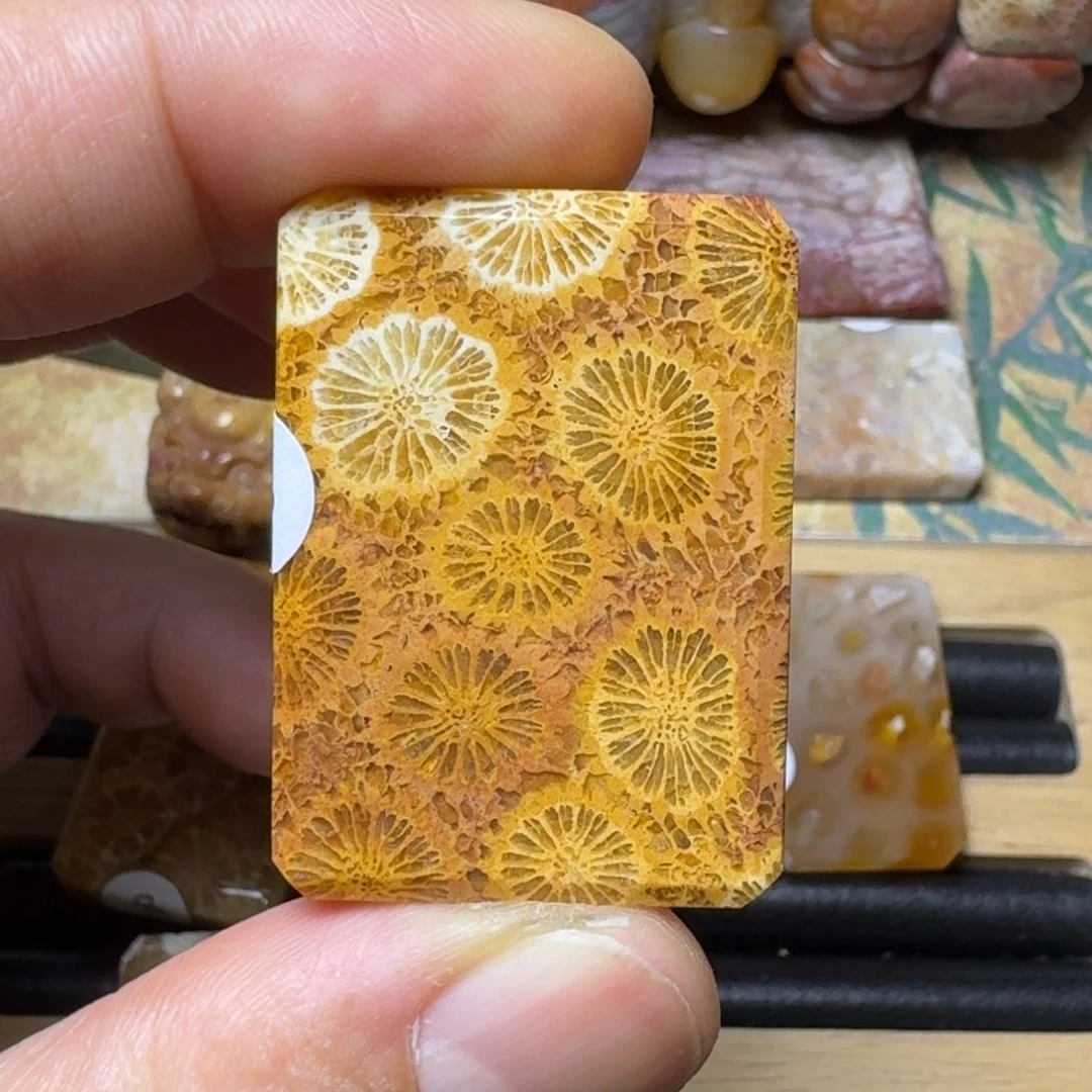 硅化玉天然有机玉石保真色未镶嵌?**事