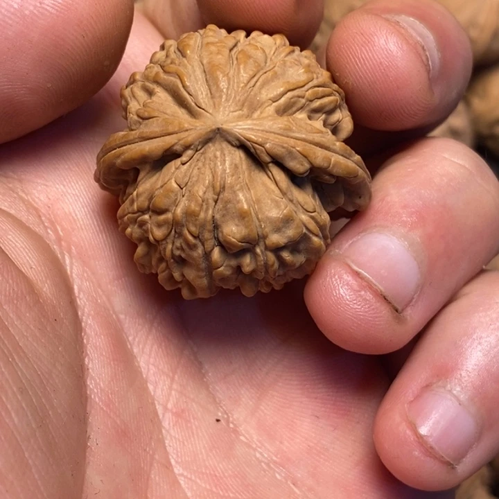 文玩核桃吊坠随**—文玩核桃异形单只