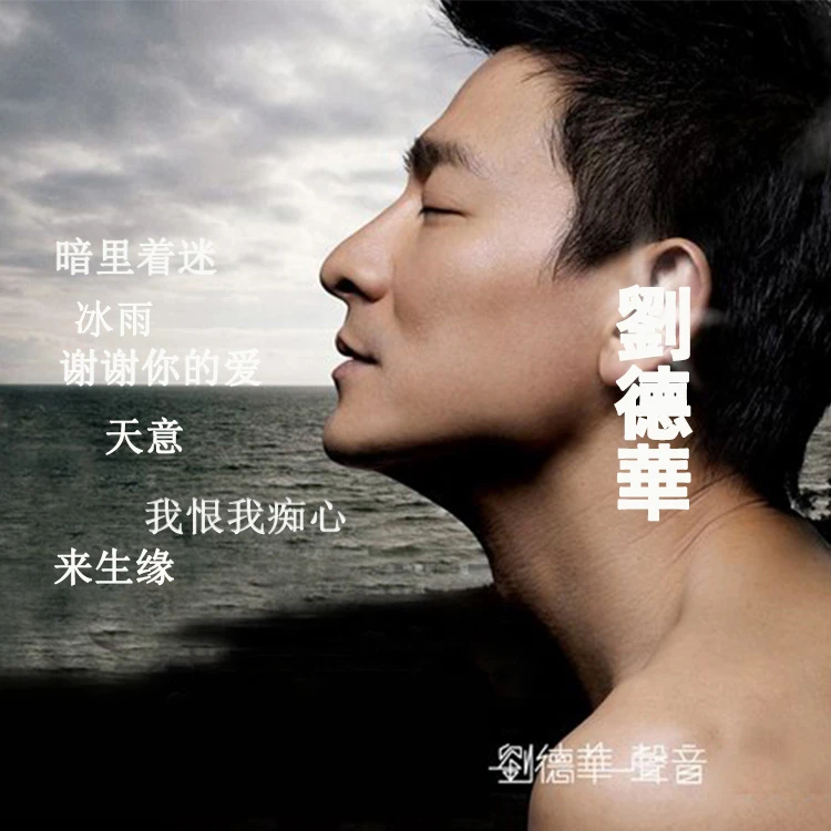 刘德华cd专辑精选歌曲粤语经典老歌无损高音质汽车载cd碟片光盘