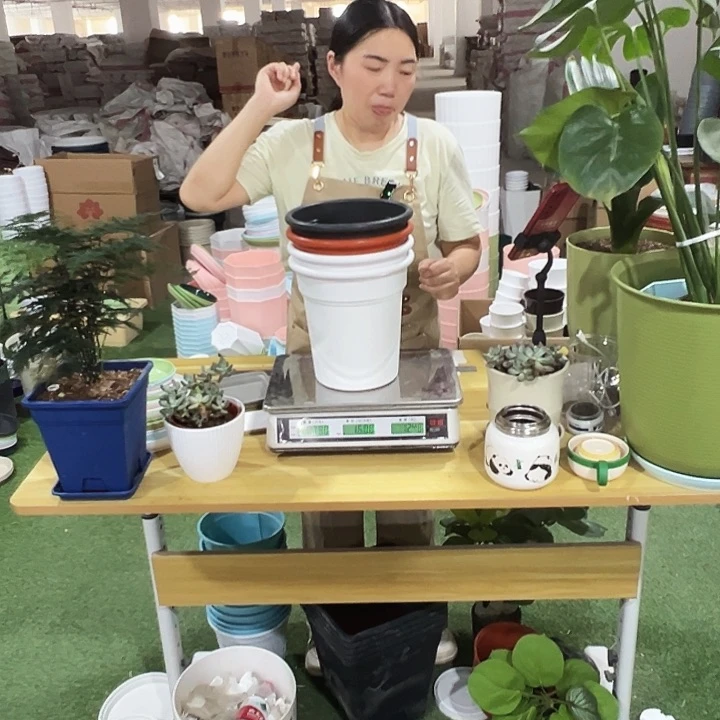 翻边盆口20高22混色无托4只