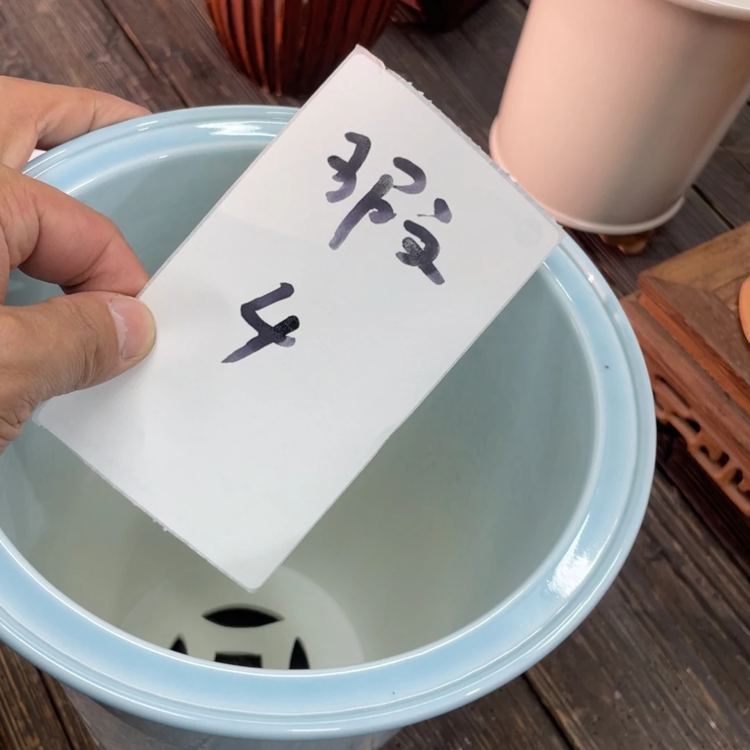 紫砂花盆蓝*友微瑕花盆