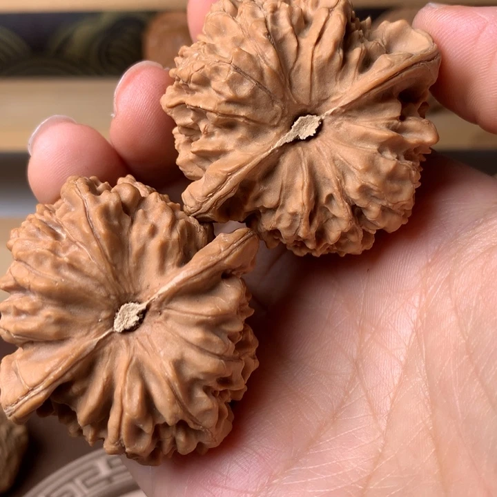 兰***度大叶紫檀（黑酸枝木类）和尚3点左右去拿货就