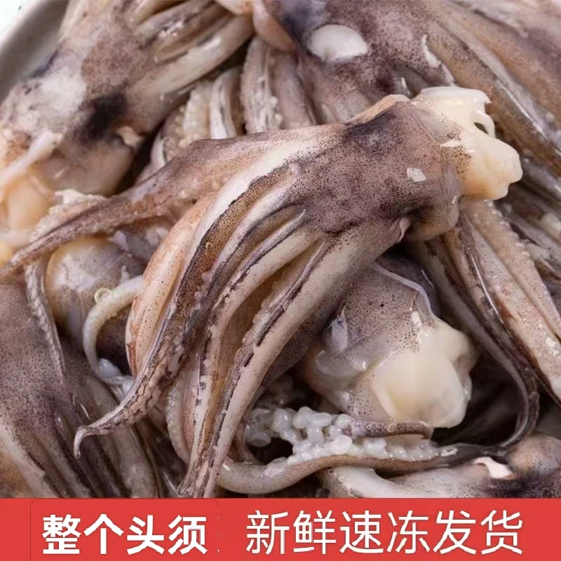 新鲜鱿鱼头须 3斤5斤冷冻锁鲜 鱿鱼须 批发 八爪鱼海鲜烧烤串