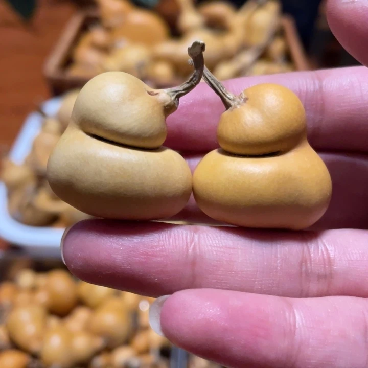 2默认微瑕不保龙头