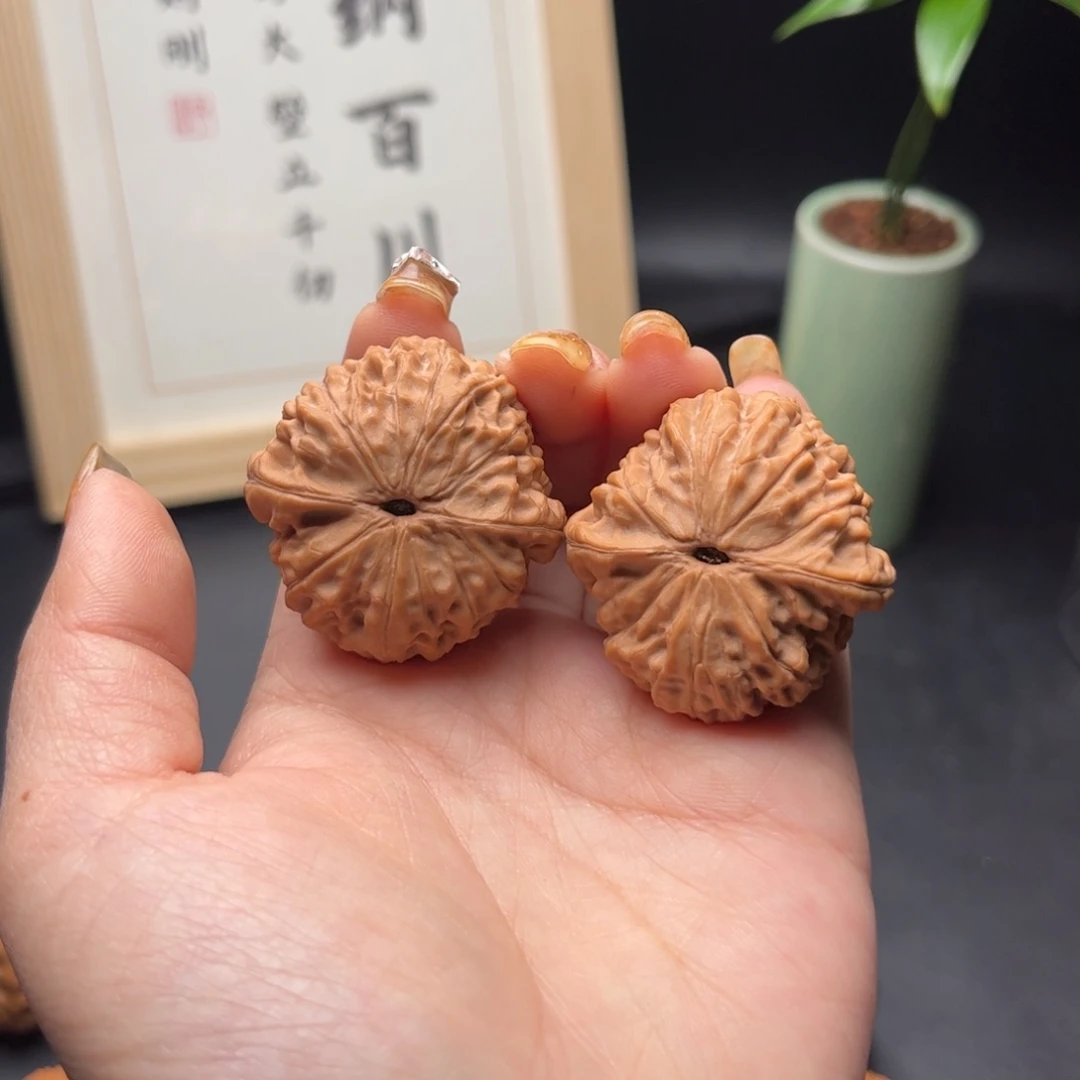 文玩核桃把件?****?龙眼元宝