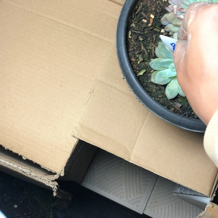 ?****?89////////////////