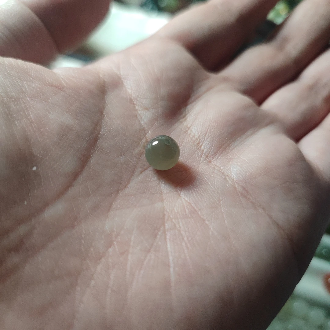 灰色单珠 卡8 冰底龙溪玉