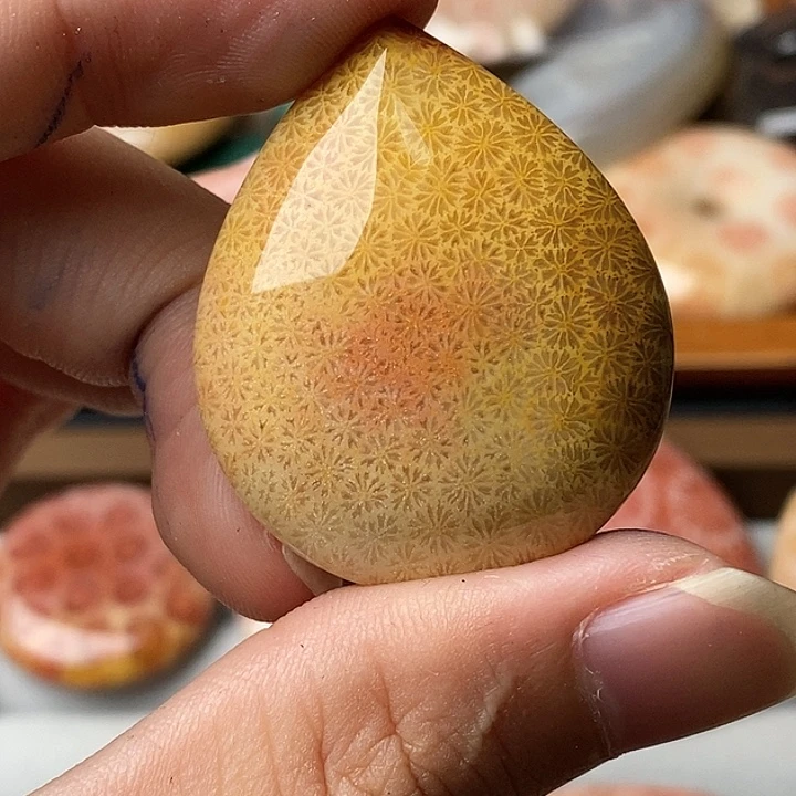 土***丝硅化玉未镶嵌颈饰