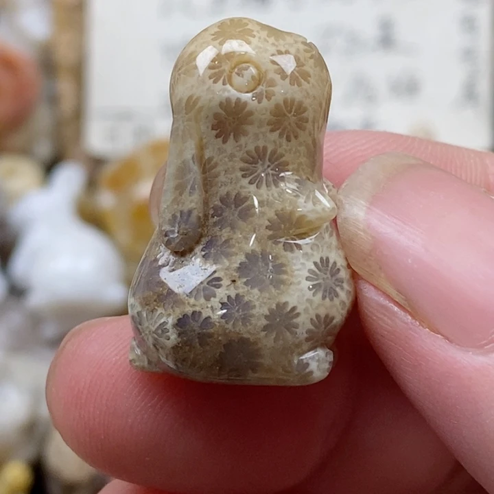 颈饰未镶嵌硅化珊瑚（珊瑚玉）小