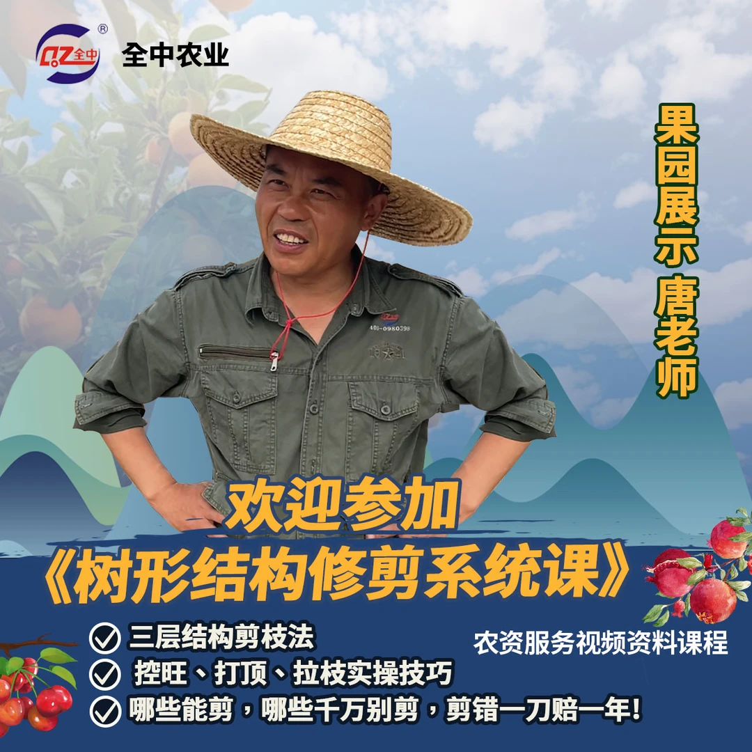 全中农业唐老师树形结构修剪系统课